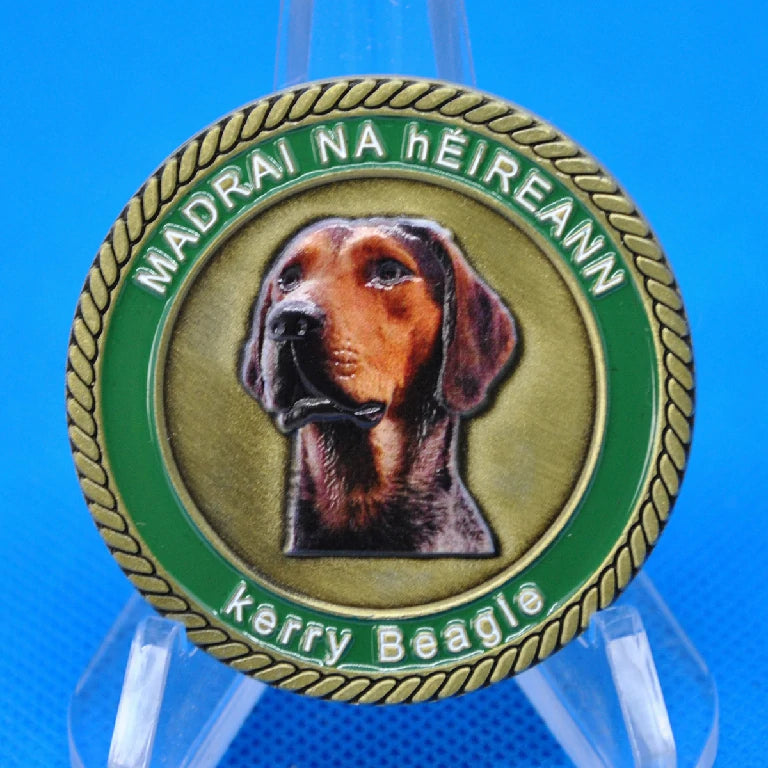 Custom Metal Coins & Challenge Coins — Commemorative, DND Tokens, Brand & Collectible Coins, Fully Personalized