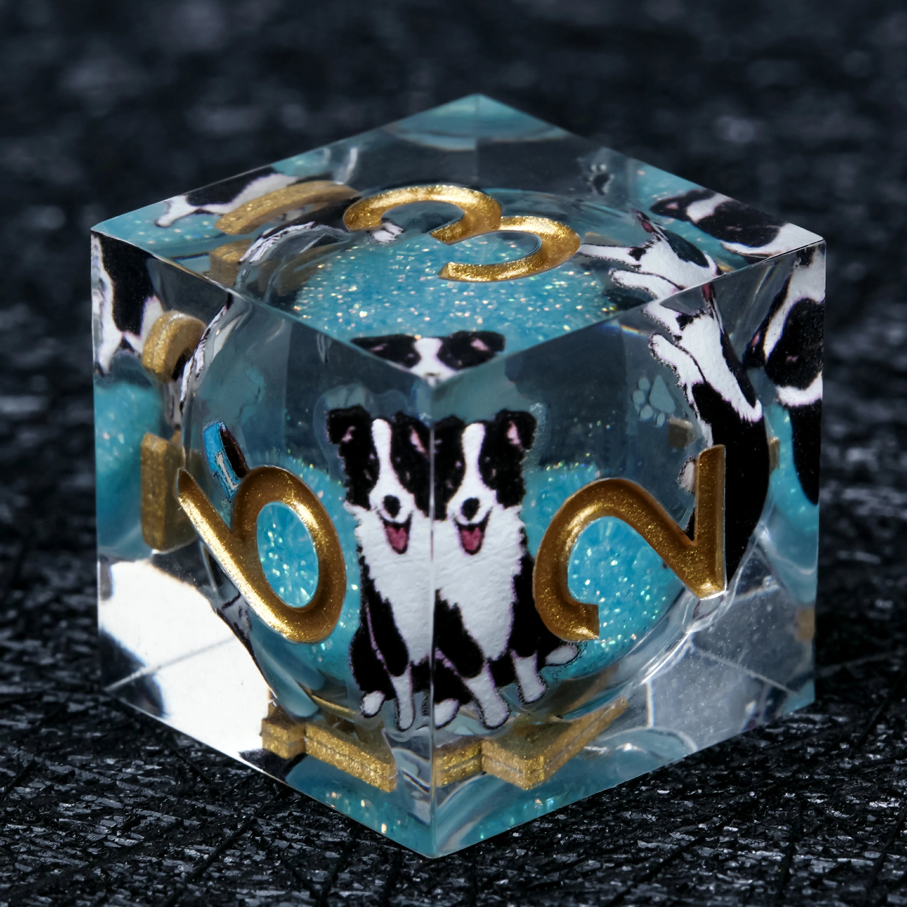 Border Collie White Liquid-Core Resin Dice Set | Gold Numbers | D&D RPG Dice