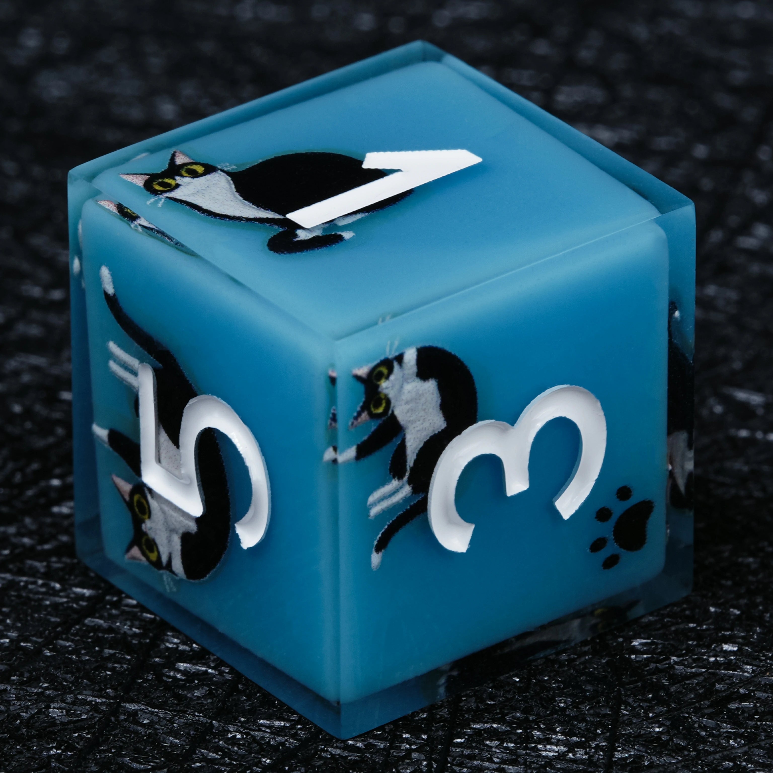 Black Cat Resin Dice Set | Light Blue DnD Dice with White Numbers
