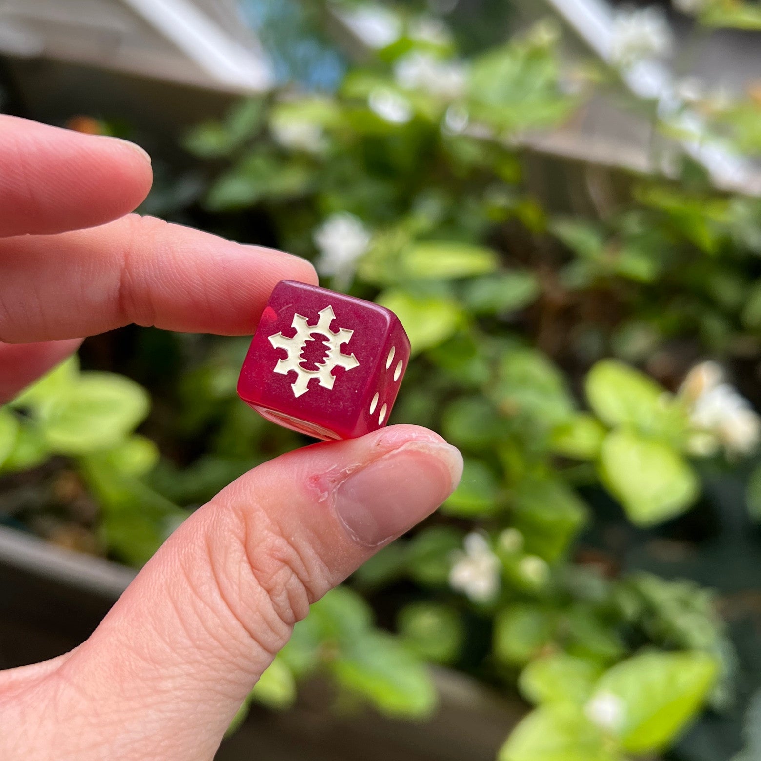 Warhammer 40K World Swallower Dice Set | Deep Red Resin Dice with Gold Cog Symbol