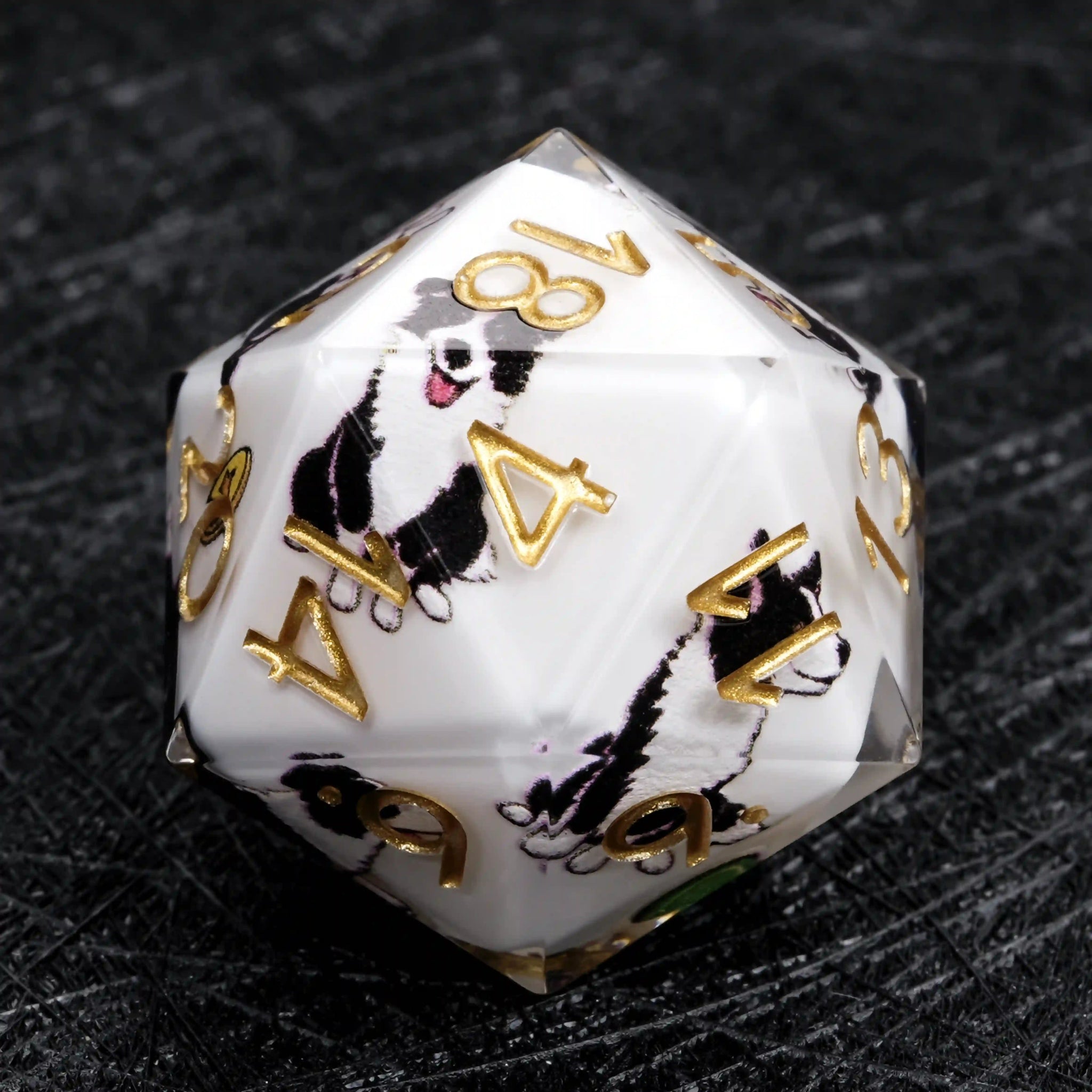 Kickstarter Dice – White Resin Border Collie DND D20 Dice with Gold Numbers | Bear Dice