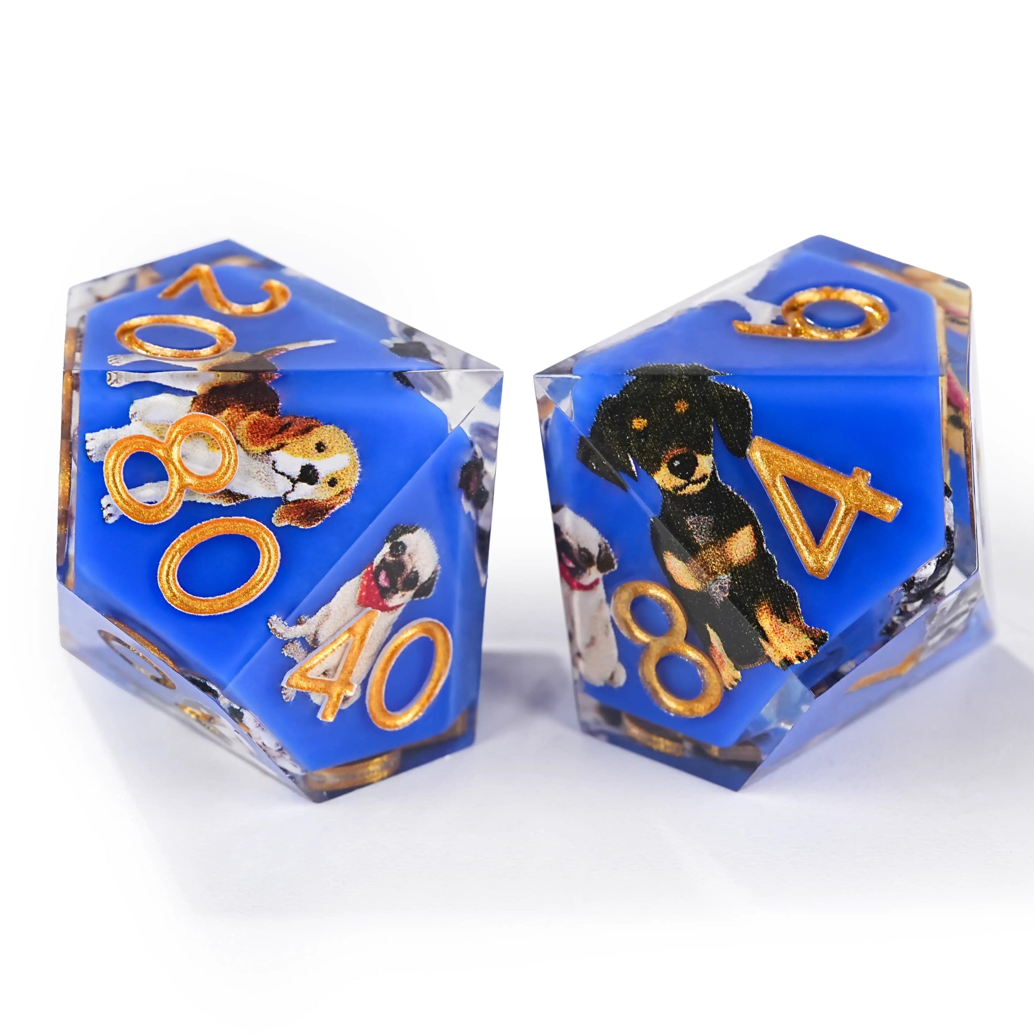 Colorful blue transparent resin cute dog pattern dice set + gold font - Bear Dice