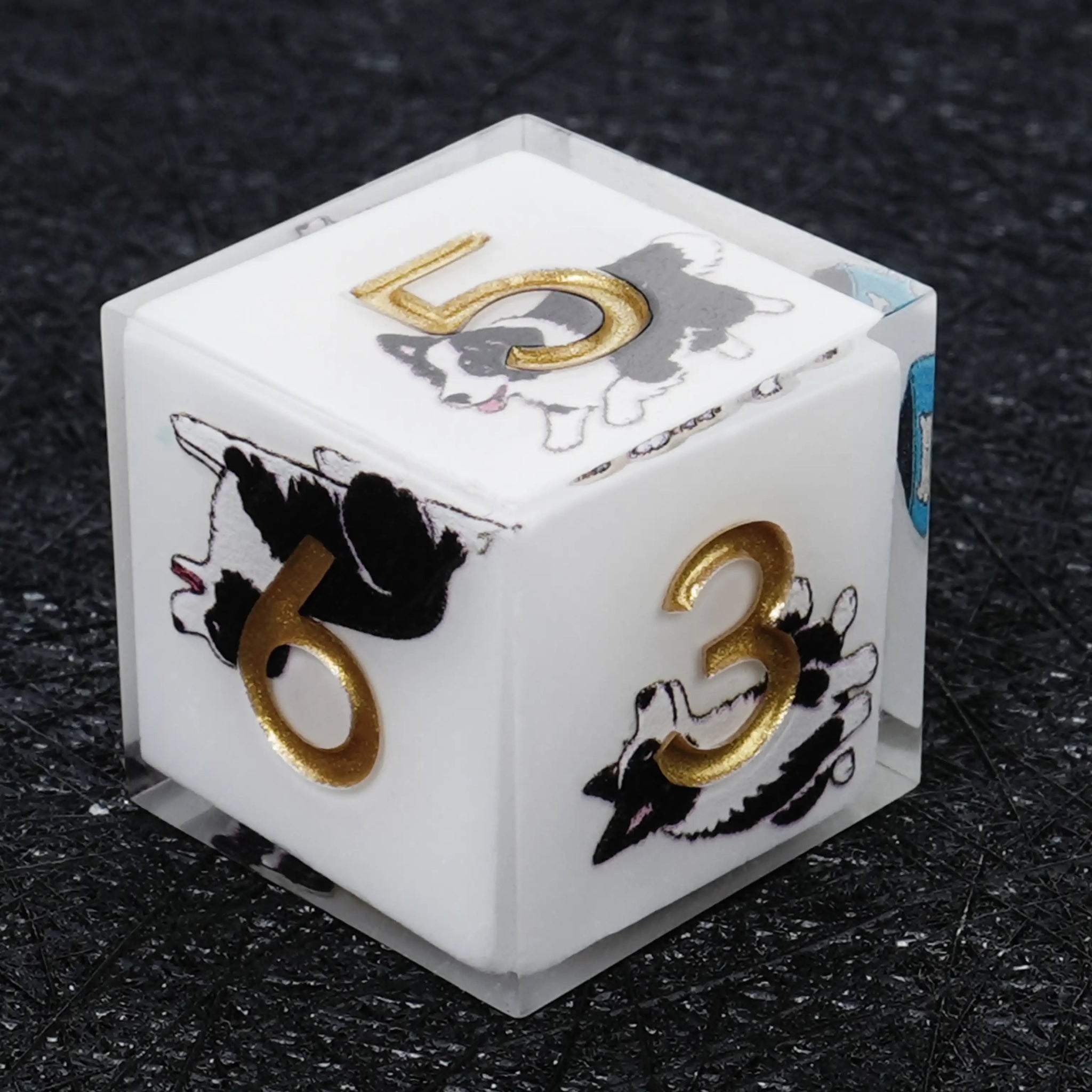 Kickstarter Dice – Border Collie Resin DND Dice Set - Bear Dice