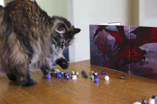 Resin cat dnd dice set | Bear Dice