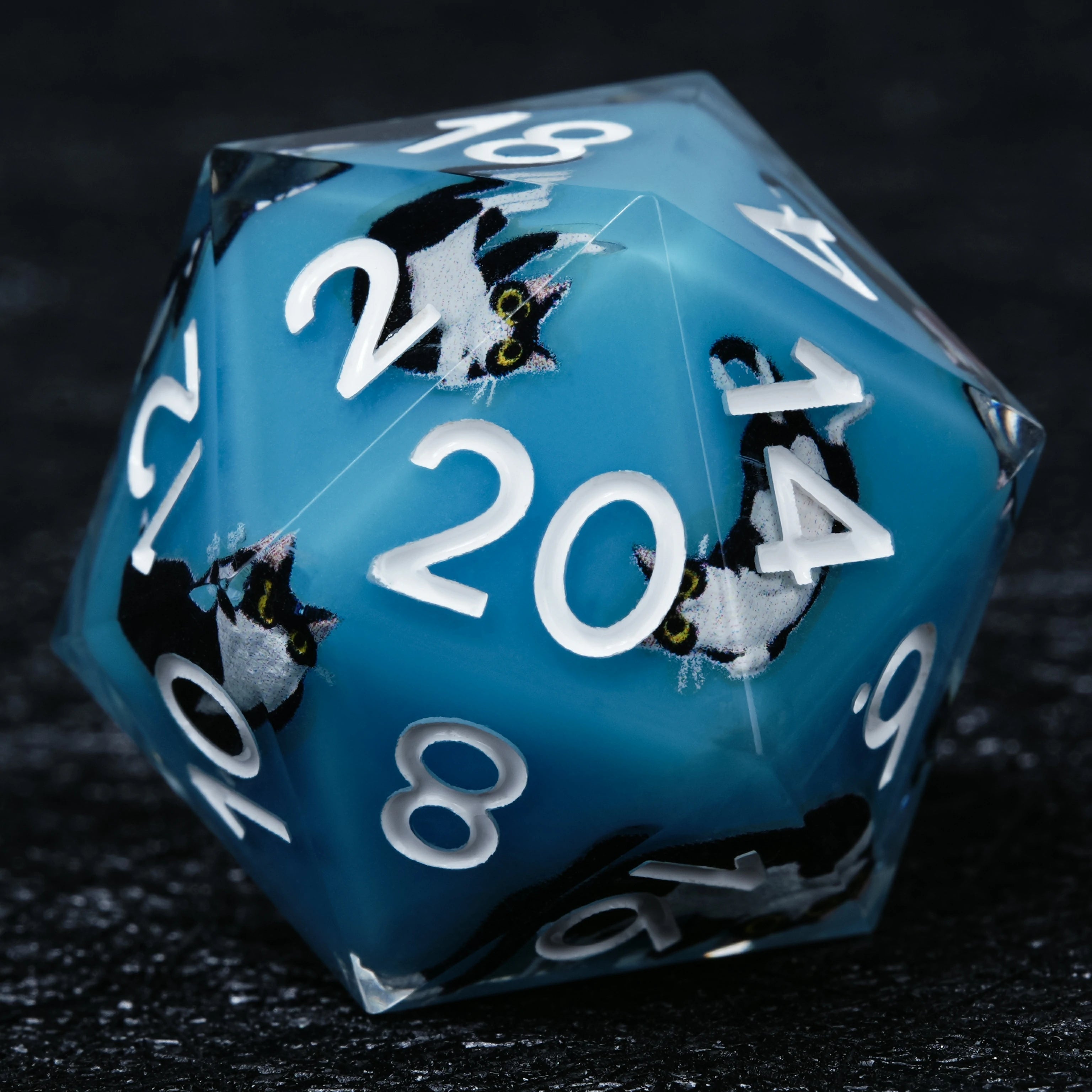 Black Cat Resin Dice Set | Light Blue DnD Dice with White Numbers