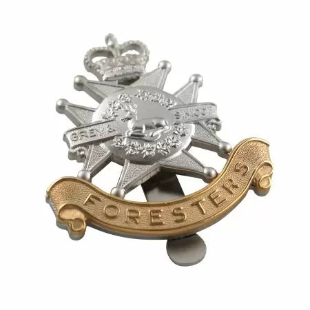 Custom personalized metal brooch badges、school badges, customizable shapes and patterns
