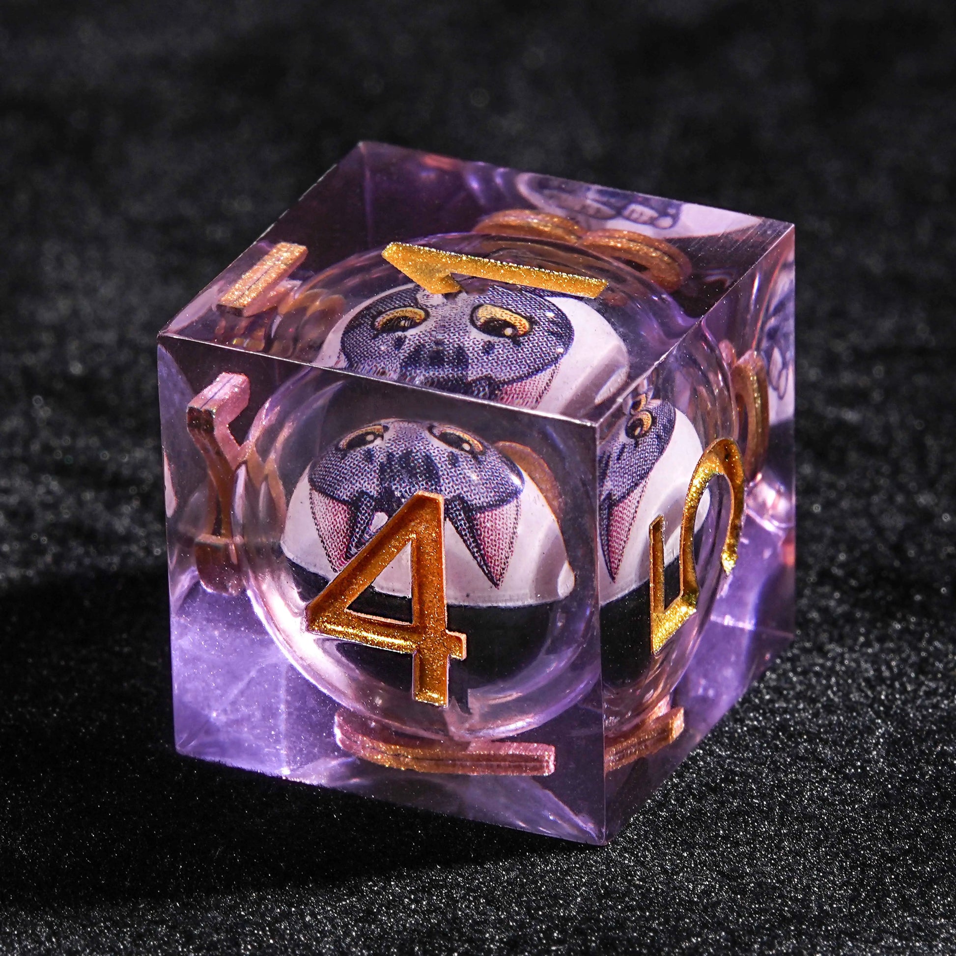 D&D Cat Liquid Core Purple Resin D6 Dice| Bear Dice