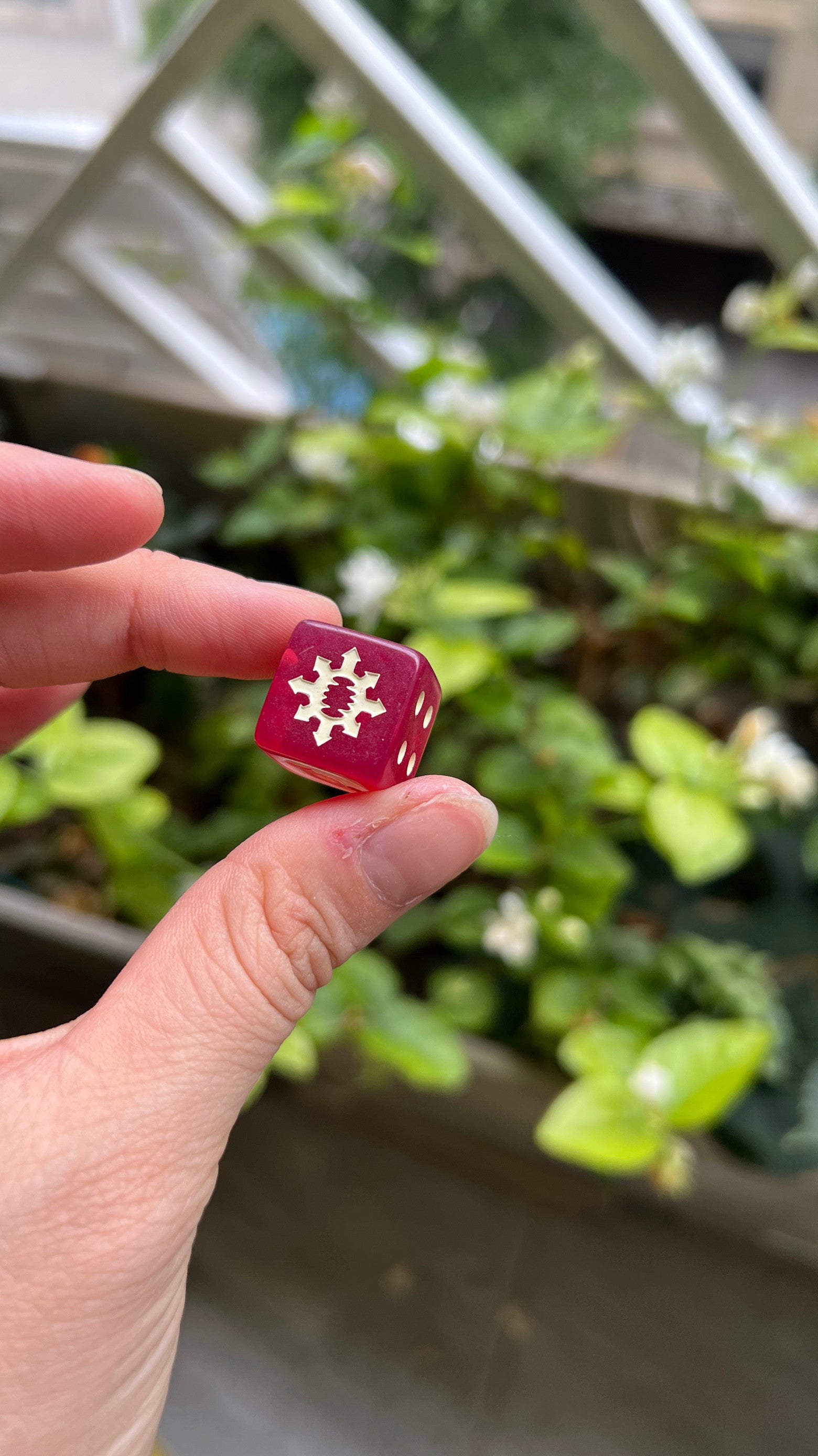 Warhammer Dice Set Special Spot Warhammer 40k World Swalter Dice WE Chop Dice Warhammer World Swallower