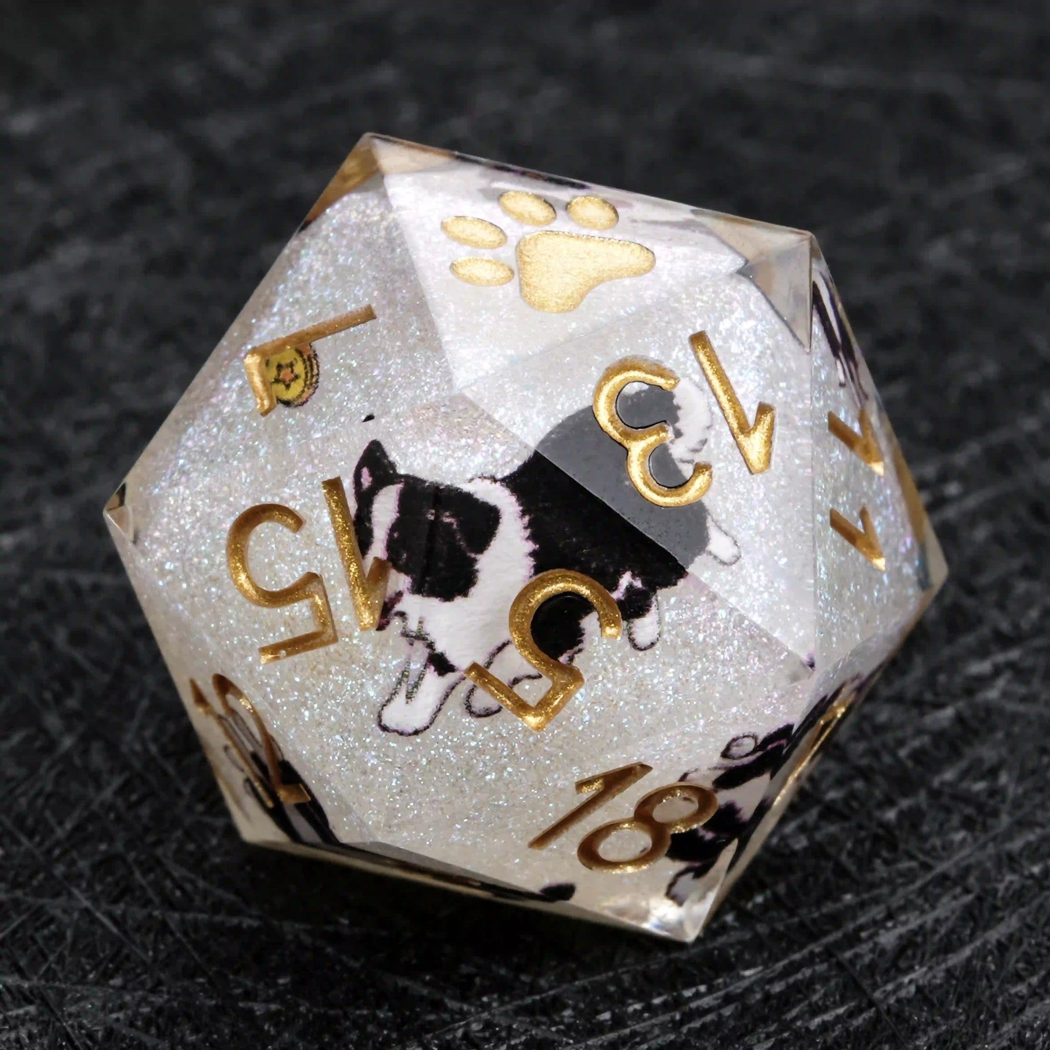 Kickstarter Dice – Border Collie Resin DND Dice Set - Bear Dice