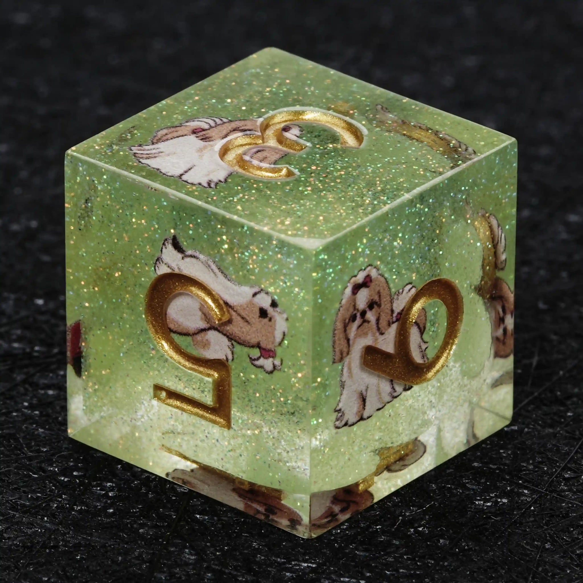 Kickstarter Dice – Canine Legends Shih Tzu Resin DND Dice Set - Bear Dice