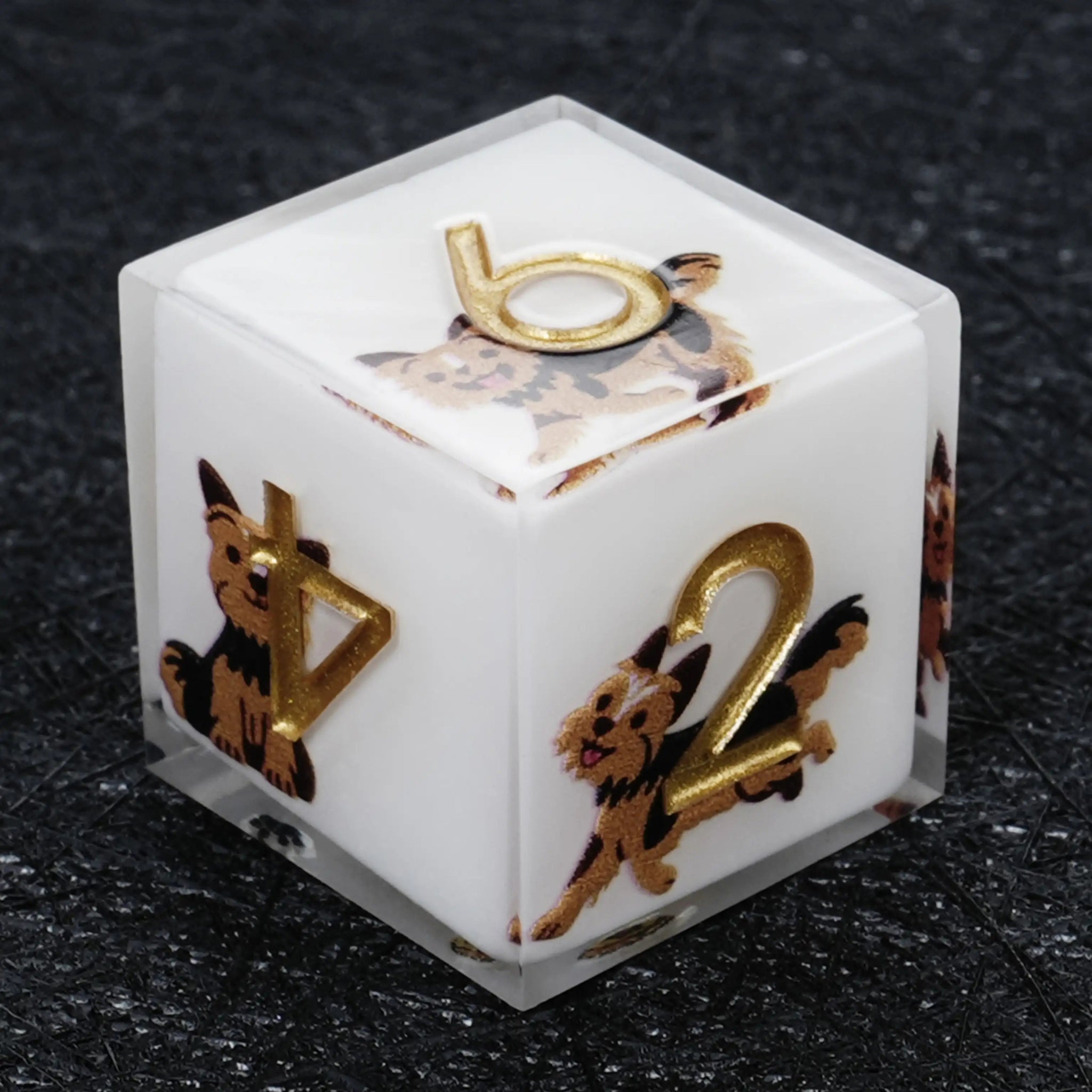 Kickstarter Dice – Canine Legends Yorkie Resin DND Dice Set - Bear Dice